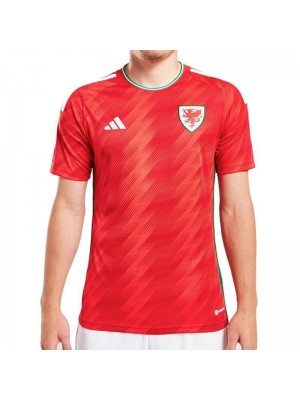 Wales Home Soccer Jerseys Men's Football Shirts Uniforms FIFA World Cup Qatar 2022
